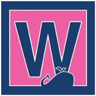 W Services Group